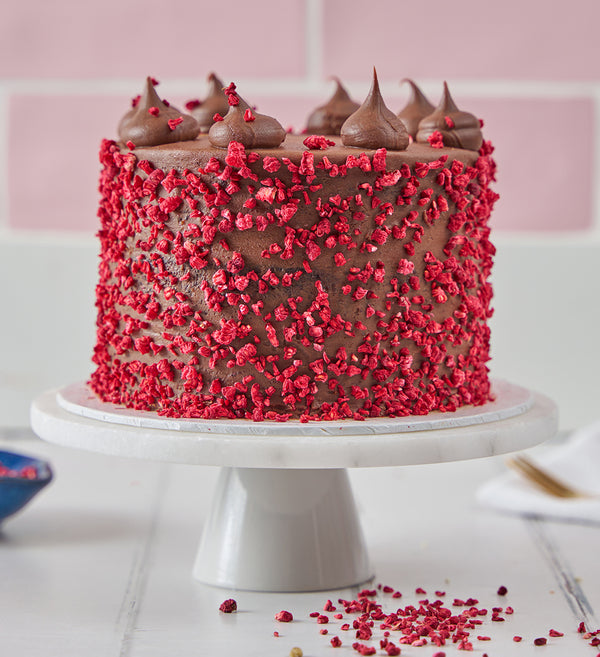 Vegan and Gluten Free Fudge Nationwide Cake