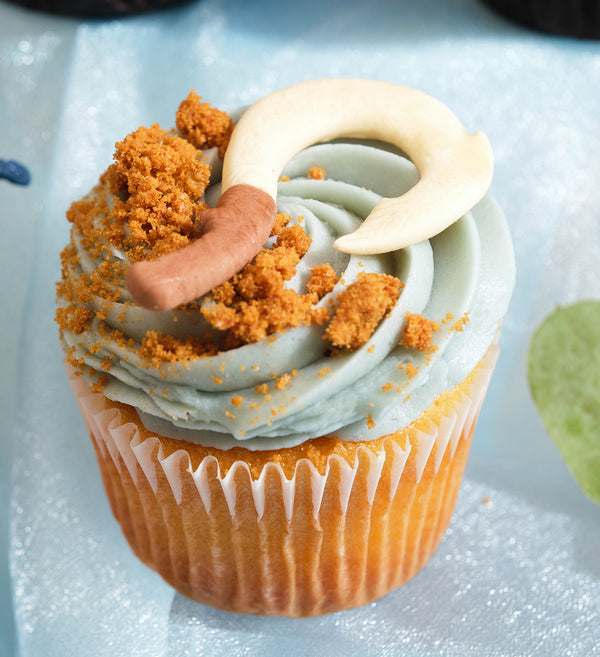 Disney Moana Themed Cupcake Box