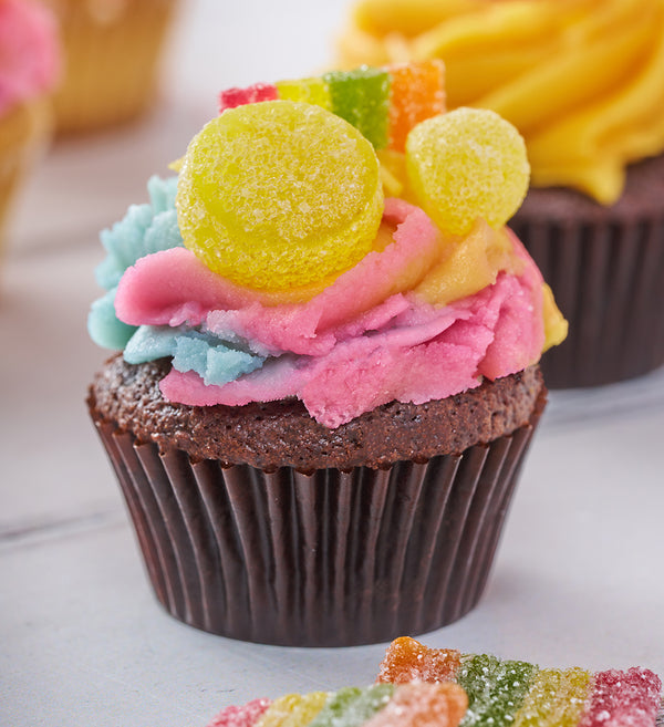 Rainbow Mini Cupcake Box