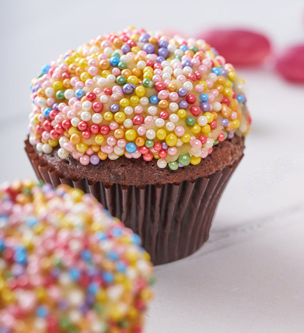 Rainbow Mini Cupcake Box