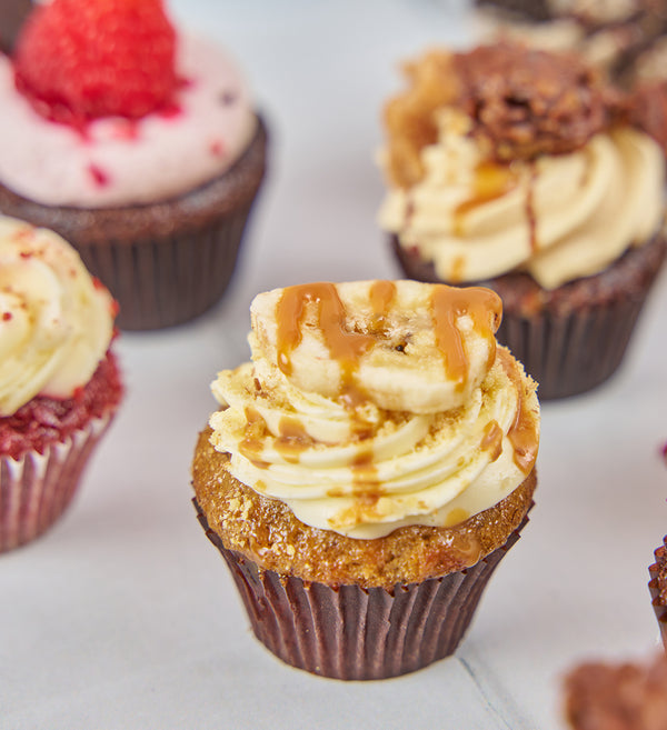 Assorted Classics Mini Cupcake Box