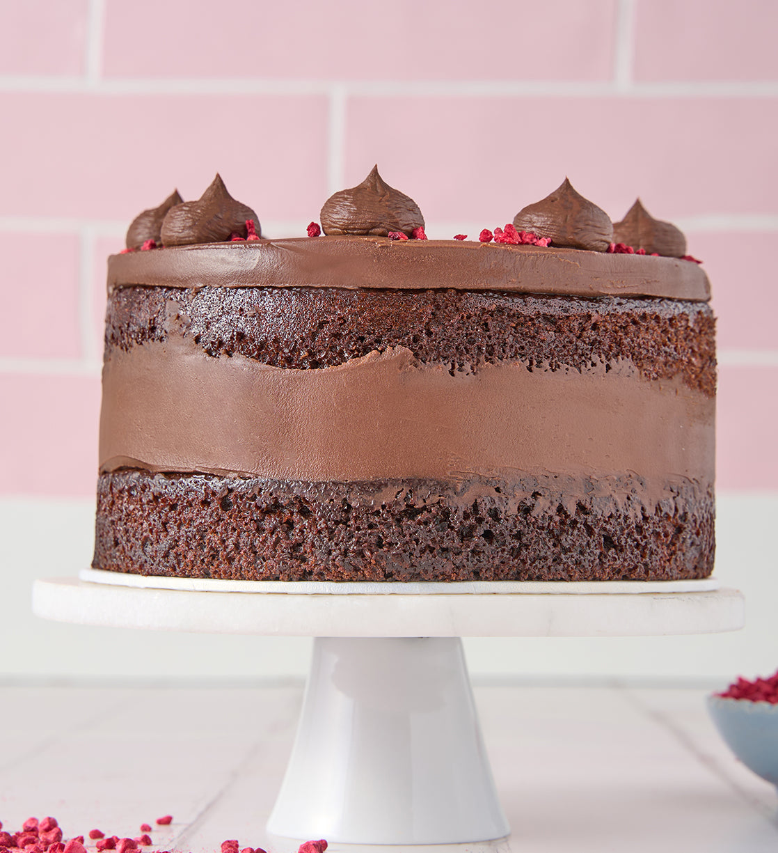 Vegan and Gluten Free Fudge Nationwide Cake