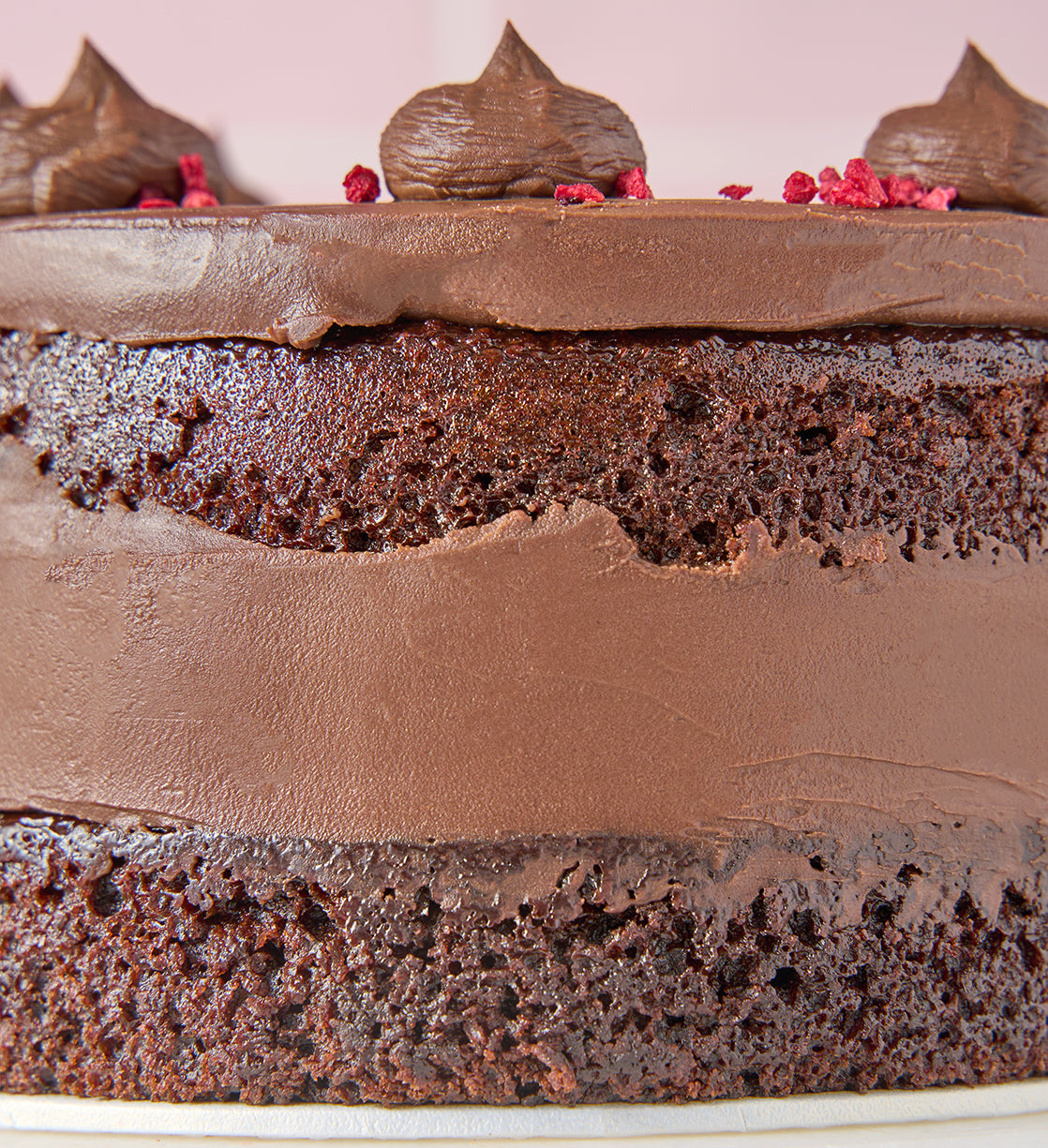 Vegan and Gluten Free Fudge Nationwide Cake