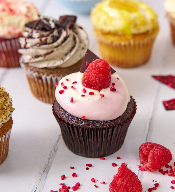 New Assorted Classics Cupcake Box