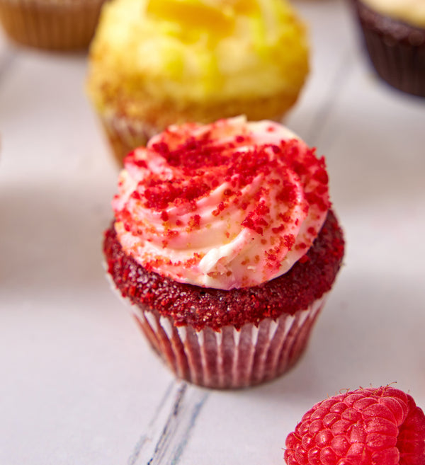 New Assorted Classics Mini Cupcake Box