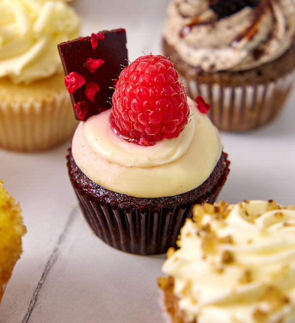New Assorted Classics Mini Cupcake Box