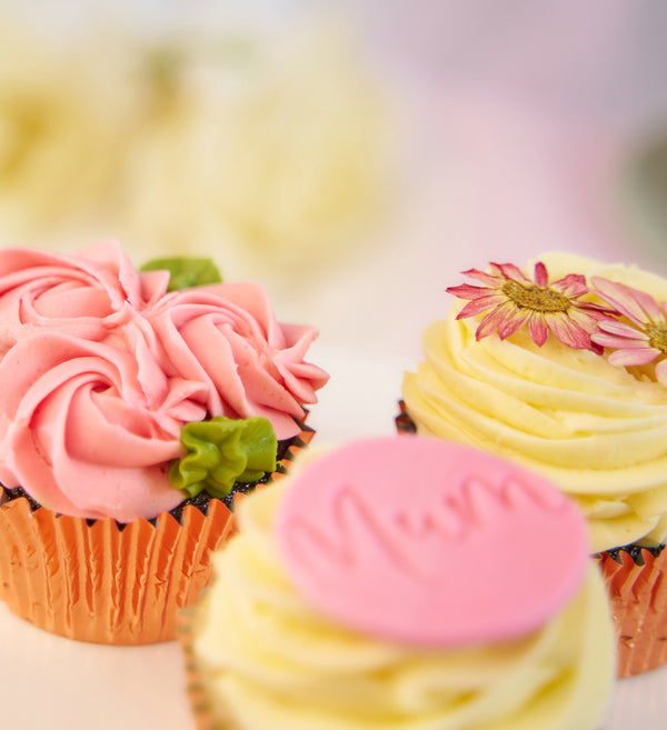 Mothers Day Vegan and Gluten Free Cupcake Box