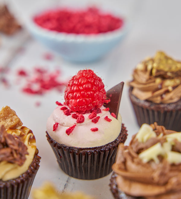 New Chocolate Lovers Mini Cupcake Box