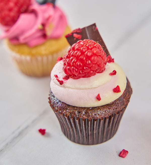 Fruit Mini Cupcake Box