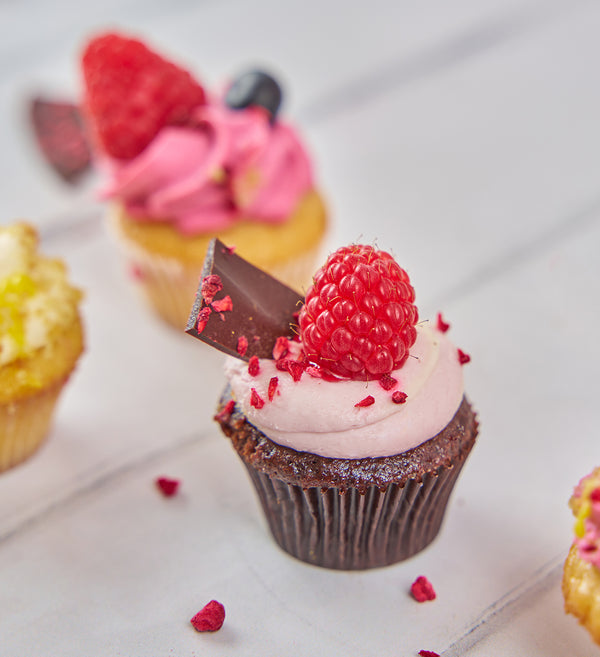 Fruit Mini Cupcake Box