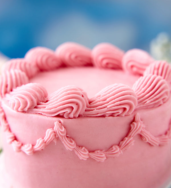 Pink Vintage Bento