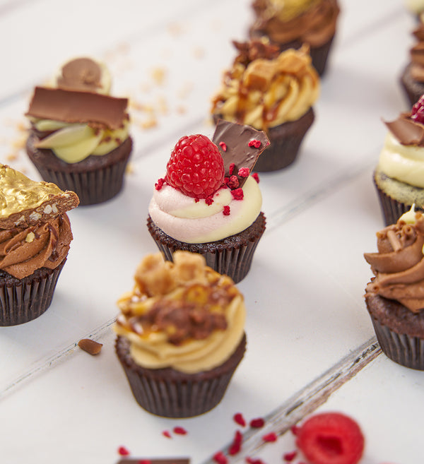 Chocolate Lovers Mini Cupcake Box