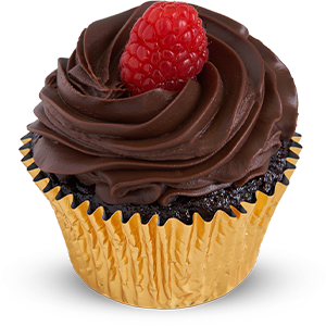 Single Vegan Gluten Free Fudge Cupcake
