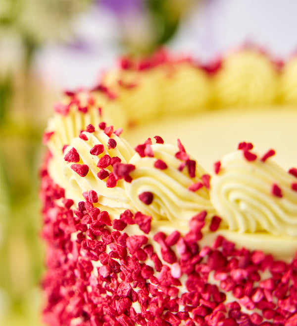 Vegan and Gluten Free Lemon and Raspberry Nationwide Cake