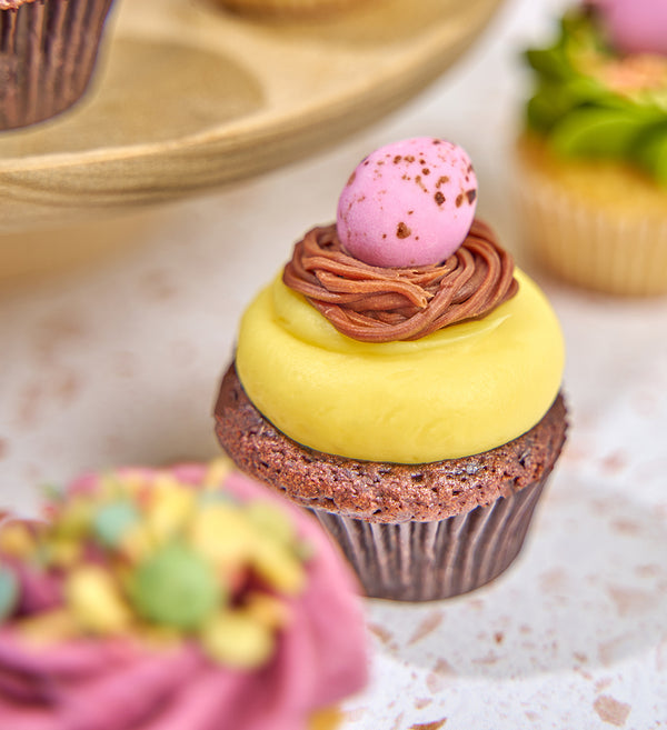 Easter Mini Cupcake Box
