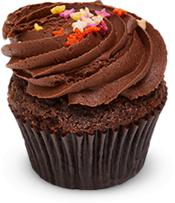 Chocolate with Star Sprinkles Cupcake