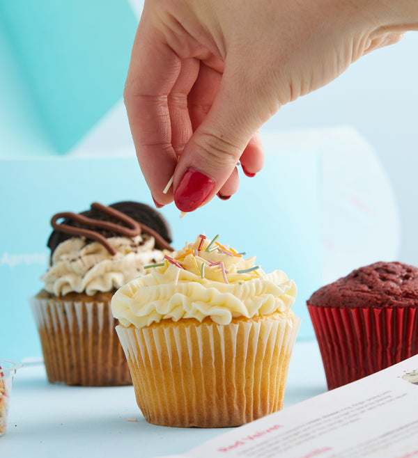 Mixed Cupcake Decorating Kit