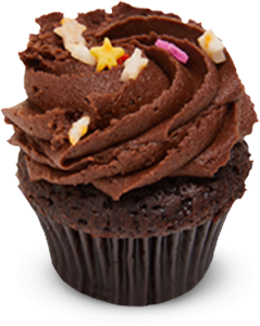 Chocolate with Star Sprinkles Mini Cupcake