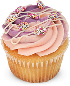 Vanilla Swirl Pink Cupcake